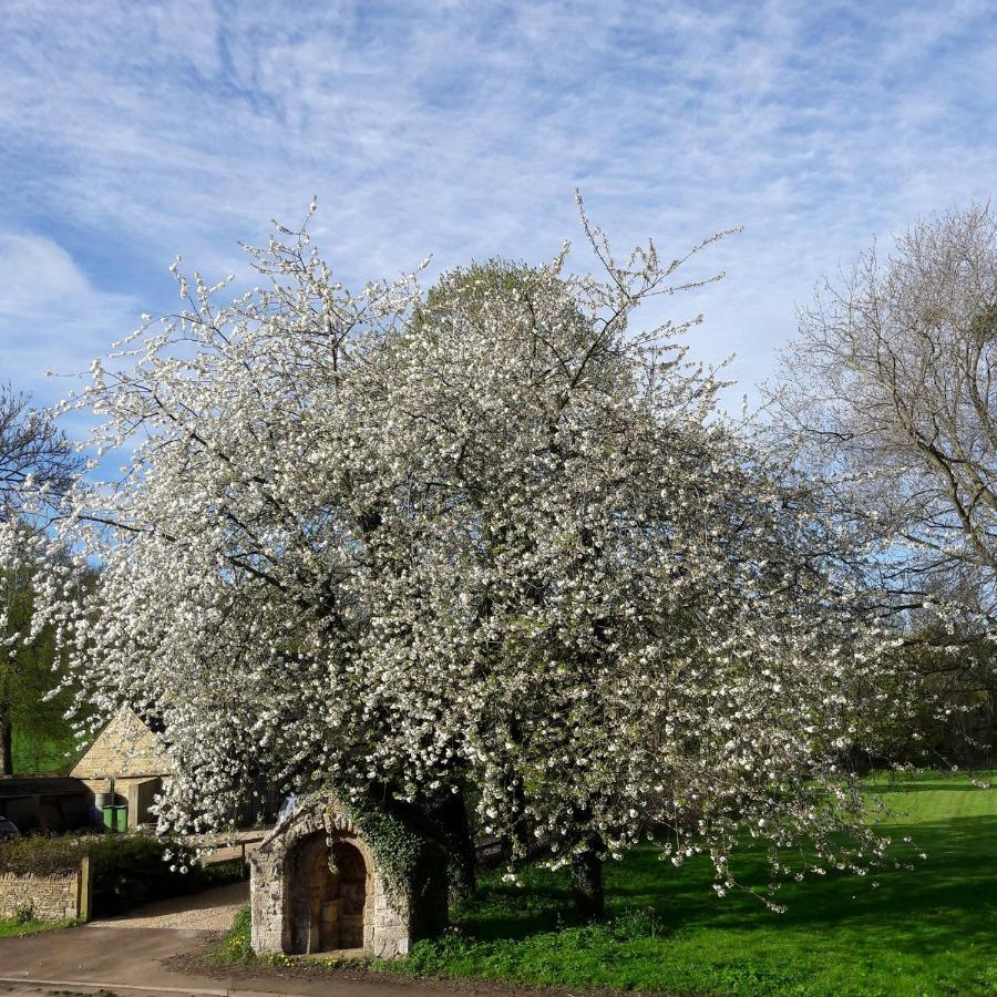 Wayside House B&B Whichford Екстериор снимка